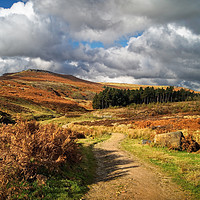 Buy canvas prints of Footpath to Higger Tor                        by Darren Galpin