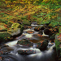 Buy canvas prints of Autumn in Padley Gorge by Darren Galpin