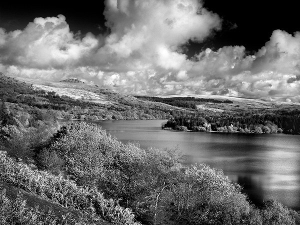 Burrator Reservoir Picture Board by Darren Galpin