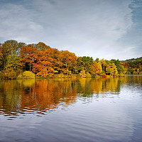 Buy canvas prints of Damflask Reflections                               by Darren Galpin