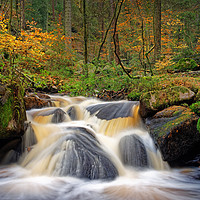 Buy canvas prints of Wyming Brook in Autumn                             by Darren Galpin