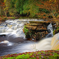 Buy canvas prints of  Third Coppice Weir in Autumn                      by Darren Galpin