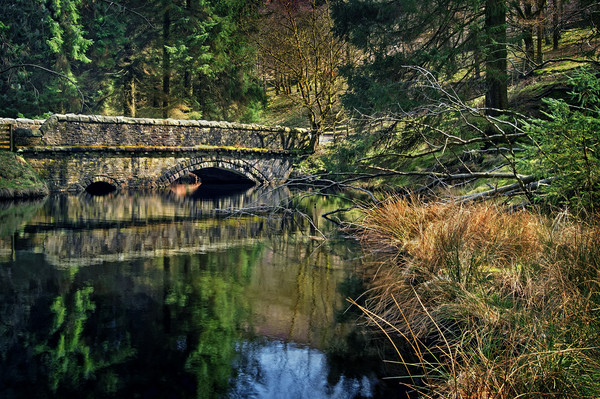 Ouzelden Clough & Bridge                       Picture Board by Darren Galpin