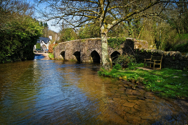 Bury Bridge & River Haddeo                      Picture Board by Darren Galpin