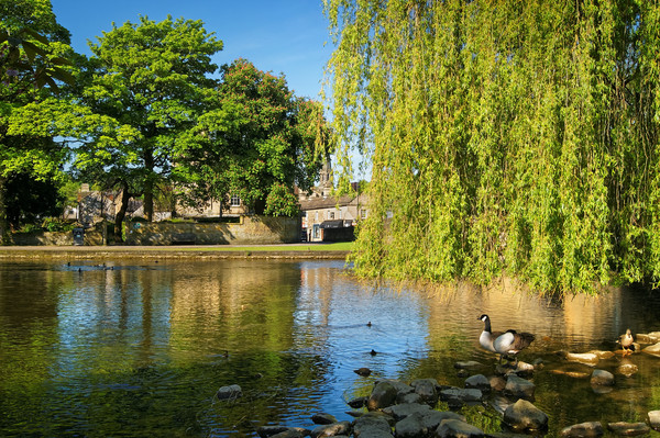 River Wye at Bakewell                        Picture Board by Darren Galpin