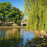 Buy canvas prints of River Wye at Bakewell                        by Darren Galpin