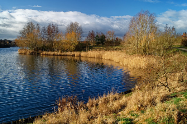 Manvers Lake                        Picture Board by Darren Galpin
