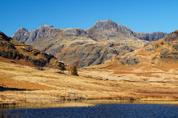 Langdale Pikes                      Picture Board by Darren Galpin