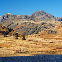 Buy canvas prints of Langdale Pikes                      by Darren Galpin