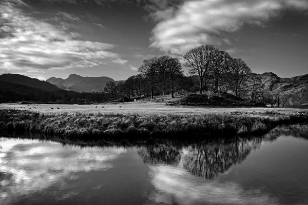 River Brathay Reflections in Mono                  Picture Board by Darren Galpin