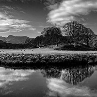 Buy canvas prints of River Brathay Reflections in Mono                  by Darren Galpin