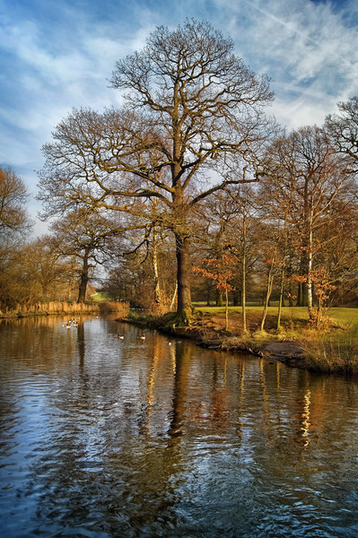Daking Brook Reflections                       Picture Board by Darren Galpin