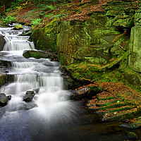 Buy canvas prints of Lumsdale Waterfalls                                by Darren Galpin