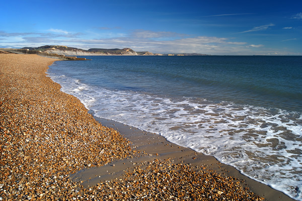 Lyme Regis Beach and Jurassic Coastline            Picture Board by Darren Galpin