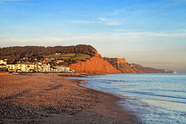 Sidmouth Shoreline                      Picture Board by Darren Galpin