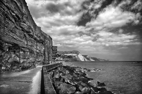 Coastline at Sidmouth                          Picture Board by Darren Galpin
