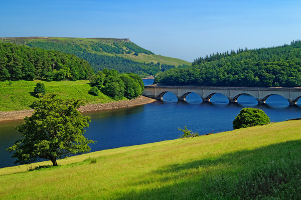 Ladybower and Ashopton Viaduct                     Picture Board by Darren Galpin