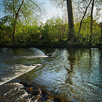 Buy canvas prints of River Wye at Bakewell            by Darren Galpin