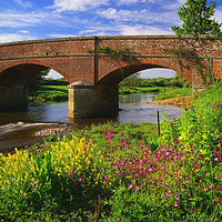Buy canvas prints of Gosford Bridge & the River Otter by Darren Galpin