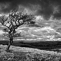 Buy canvas prints of Dark Clouds over Combestone Tor                    by Darren Galpin