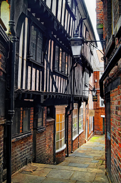    Lady Pecketts Yard, York                        Picture Board by Darren Galpin