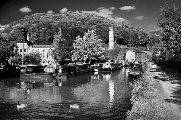 Rochdale Canal at Hebden Bridge                    Picture Board by Darren Galpin