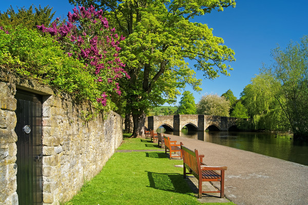 Riverside Walk at Bakewell Bridge and River Wye Picture Board by Darren Galpin