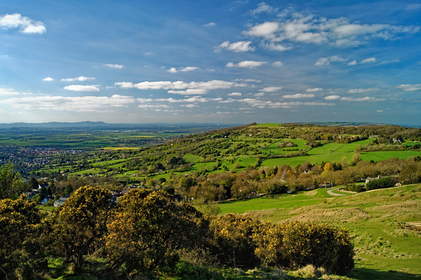 View from Cleeve Hill                        Picture Board by Darren Galpin