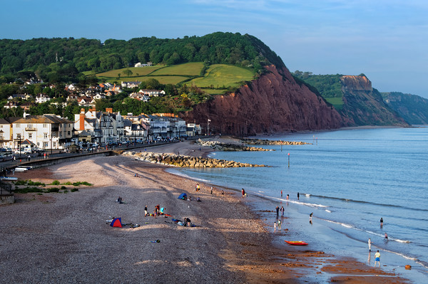 Sidmouth Seafront and Beach                      Picture Board by Darren Galpin