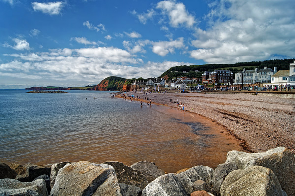Sidmouth Seafront and Beach                        Picture Board by Darren Galpin