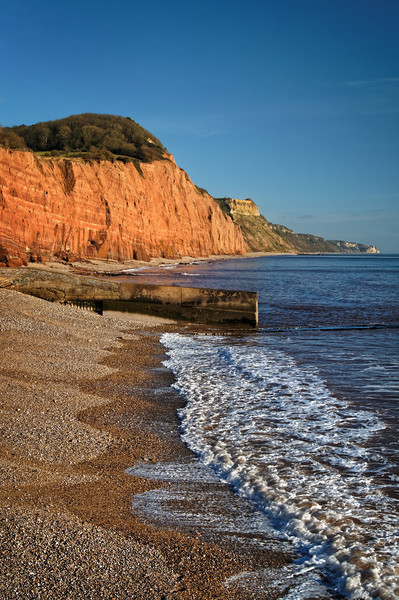 Sidmouth Coastline                       Picture Board by Darren Galpin