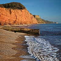 Buy canvas prints of Sidmouth Coastline                       by Darren Galpin