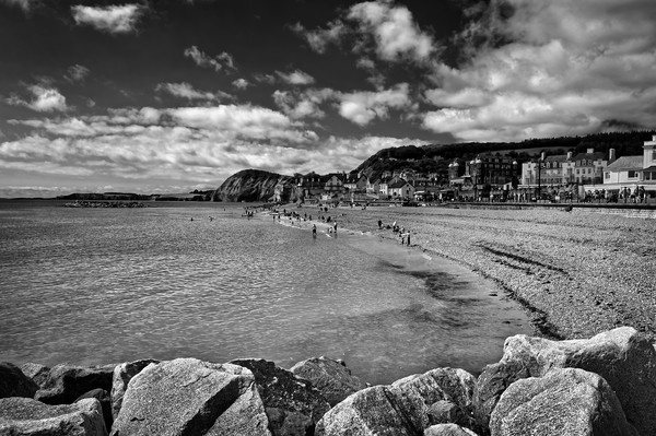 Sidmouth Seafront and Beach                        Picture Board by Darren Galpin