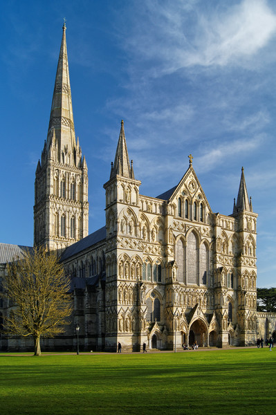 Salisbury Cathedral                        Picture Board by Darren Galpin
