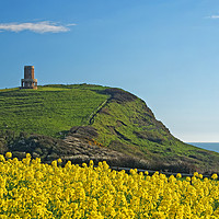 Buy canvas prints of Clavell Tower & Rapeseed at Kimmeridge Bay         by Darren Galpin