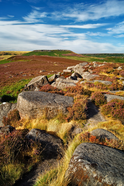 View from Over Owler Tor                      Picture Board by Darren Galpin