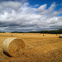 Buy canvas prints of  Hay Bales in South Yorkshire                      by Darren Galpin