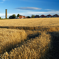 Buy canvas prints of Keppels Column and Field of Wheat                  by Darren Galpin
