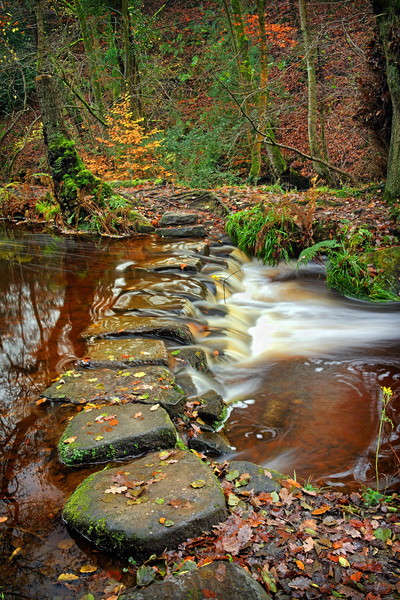  Rivelin Stepping Stones                          Picture Board by Darren Galpin