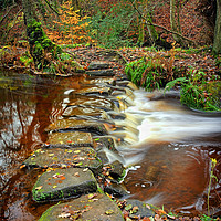 Buy canvas prints of   Rivelin Stepping Stones                          by Darren Galpin