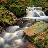 Buy canvas prints of Wyming Brook in Autumn                             by Darren Galpin