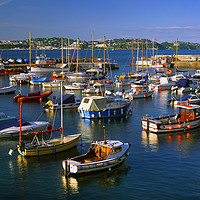 Buy canvas prints of Paignton Harbour by Darren Galpin