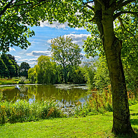 Buy canvas prints of Bolton Brick Ponds                                by Darren Galpin