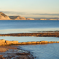 Buy canvas prints of Lyme Bay Panorama                        by Darren Galpin