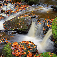 Buy canvas prints of Padley Gorge in Autumn                             by Darren Galpin