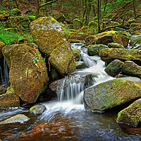 Buy canvas prints of Padley Gorge                                by Darren Galpin
