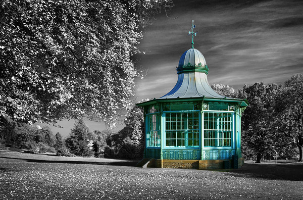 Weston Park Bandstand                       Picture Board by Darren Galpin