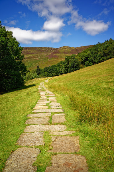   Path to Kinder Scout                             Picture Board by Darren Galpin