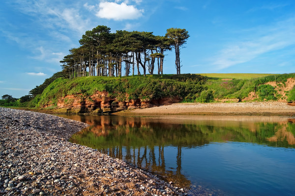 River Otter reflections at Budleigh Salterton      Picture Board by Darren Galpin