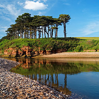 Buy canvas prints of River Otter reflections at Budleigh Salterton      by Darren Galpin